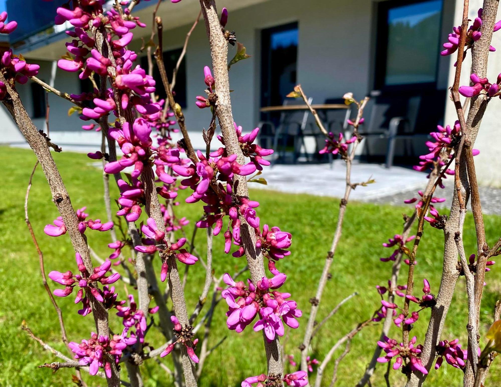Apartment Bergfieber Fieberbrunn Exteriör bild